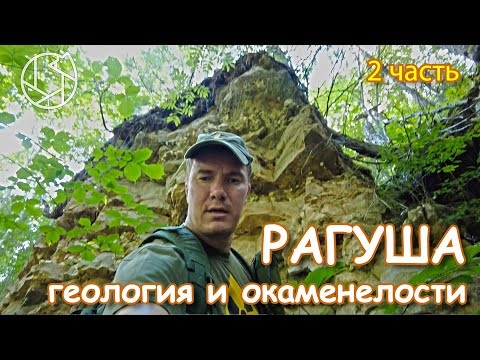 Видео: РАГУША: геология и окаменелости. 2 часть.