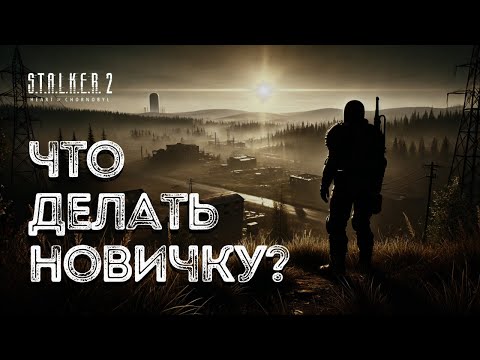 Видео: S.T.A.L.K.E.R. 2 - ГАЙД для НОВИЧКОВ / Хороший СТАРТ