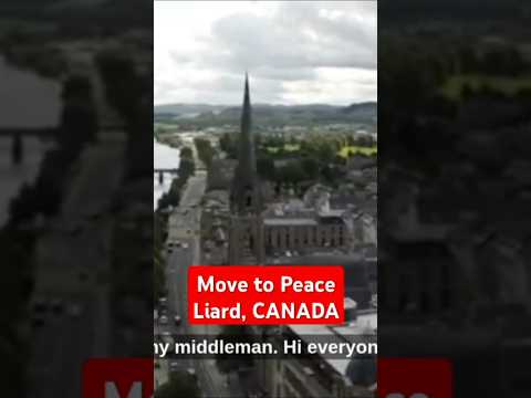 Видео: Эта деревня в Канаде активно принимает иностранцев #short #shorts #shortfeed #shortvideo