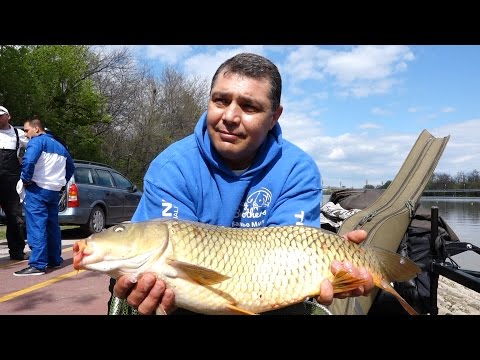 Видео: Хоби Тв - Фидер турнир в Пловдив - 2017 www.digitalstudio.bg