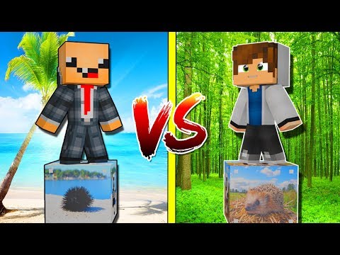 Видео: МОРСКОЙ ЁЖИК ЛАКИ БЛОК VS ЛЕСНОЙ ЁЖИК ЛАКИ БЛОК! НУБ ПРОТИВ ПРО! ВЫЖИТЬ НА 1 БЛОКЕ! #82