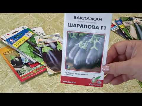 Видео: Урожайные сорта и гибриды баклажанов.Плоды без горечи.м-н ДАЧА Каменск-Уральский18.01.2023