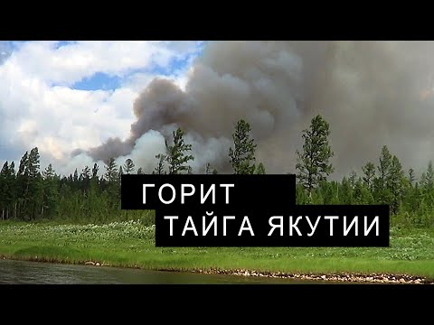 Видео: ЛЕСНЫЕ ПОЖАРЫ. ГОРИТ ТАЙГА ЯКУТИИ.