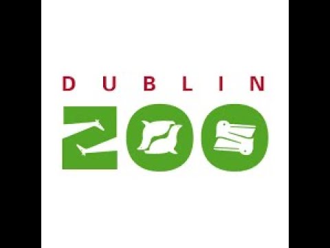 Видео: Zoo Dublin 2024 ( найкращий зоопарк в я кому я був)