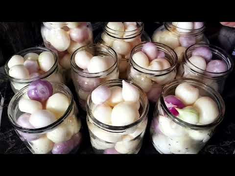 Видео: маринованный лук к шашлычку #просто похрустеть#