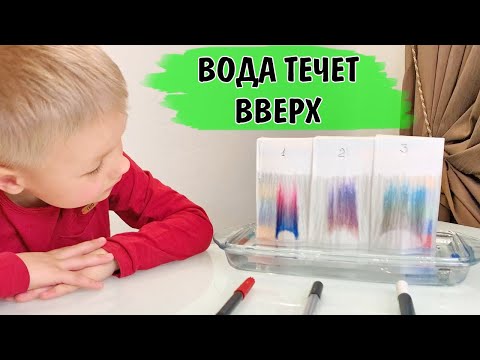 Видео: ХРОМАТОГРАФИЯ. Физический опыт для детей