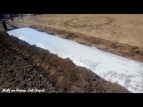 Видео: ОГОРОД БЕЗ СОРНЯКОВ/сорняки на грядке-термосе
