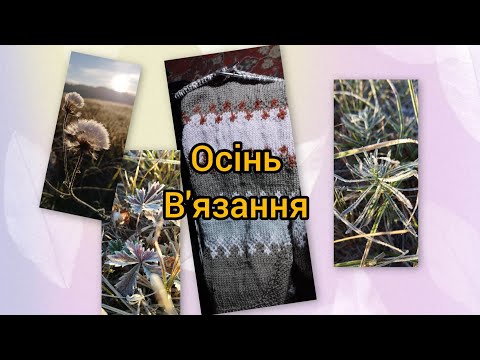 Видео: Які процеси на спицях