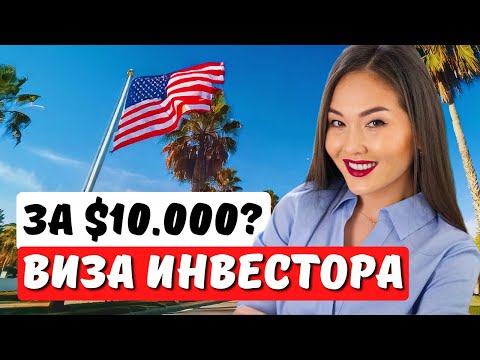 Видео: Как Получить Визу Инвестора Е2 в США с Минимальным Бюджетом?