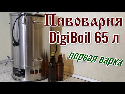 Видео: Пивоварня DigiBoil 65 л. Варка и косяки