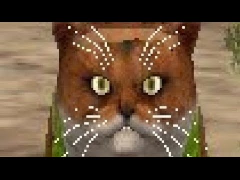 Видео: ПРОКАЧКА ПЕРСОНАЖА 1 ДО 200 УРОВНЯ В CAT SIM [ЧАСТЬ 6] И ОНЛАЙН - [PVP]
