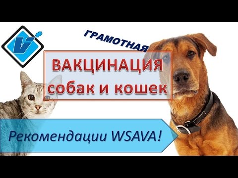 Видео: Вакцинация собак и кошек. Рекомендации WSAVA (2017). Часть 1.