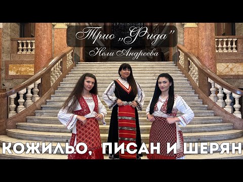 Видео: Нели Андреева и трио Фида - Кожильо, писан и шерян (live) / Neli Andreeva and trio Fida - Kozhilyo