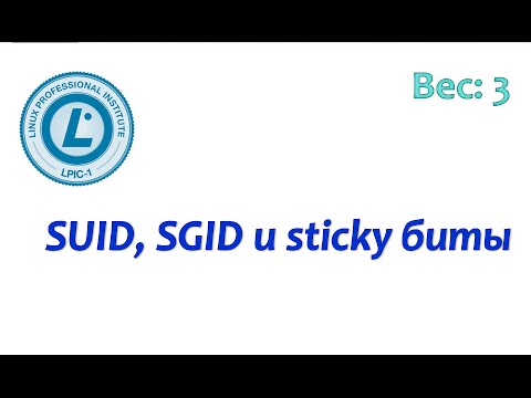 Видео: LPIC 104.5 часть четвертая: suid, sgid и sticky биты