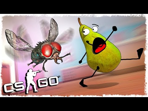 Видео: ТРОЛЛЬ ГРУША vs МУХА МАНЬЯК В CS:GO!!!