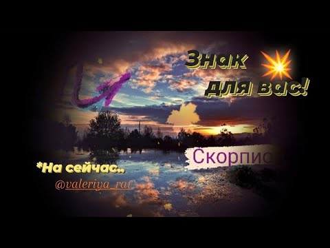 Видео: ♏СКОРПИОН! / ЗНАК для вас! / 2510 / ТАРО 🔥Коротко!🔥