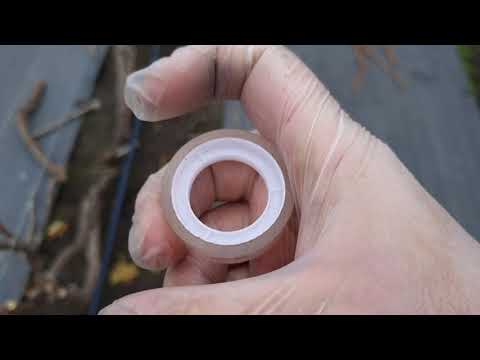 Видео: Подготовка виноградника к укрытию.