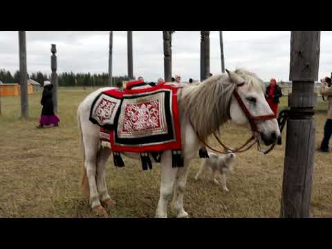 Видео: Хатын-Сыһыыга "Сайылык күнэ - 2023"