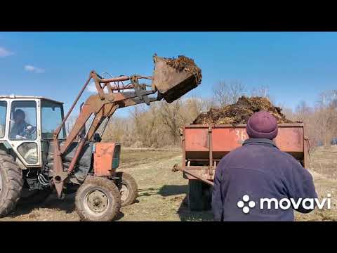 Видео: ЮМЗ с куном и навозоразбрасователем нам пришёл на помощь