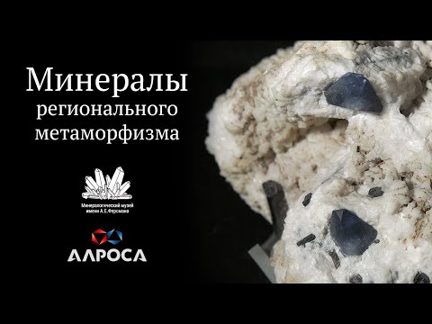 Видео: Минералы регионального метаморфизма