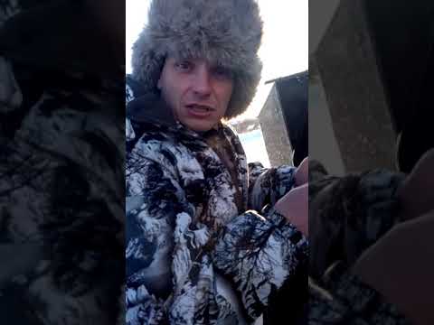Видео: негатив мотобуксировщик койра т 20