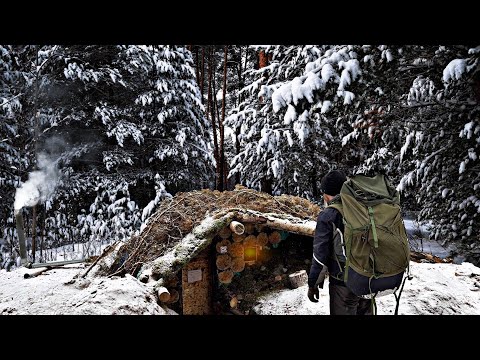 Видео: ПОСЕТИЛ ОГРОМНУЮ ЗЕМЛЯНКУ | ДЕЛАЮ ЛЕСНОЙ ШКАФ и ГОТОВЛЮ на УЖИН СЕЛЬДЬ с КАРТОШКОЙ