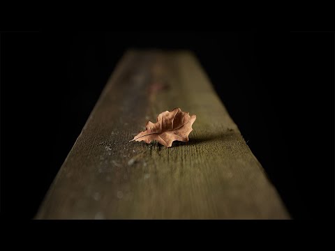 Видео: Избирательная фокусировка натюрморта.