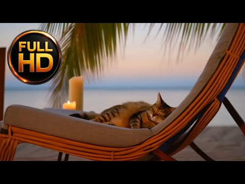 Видео: Уютный закат с мурчанием 🌅 | Cozy Sunset with Purring 🌅