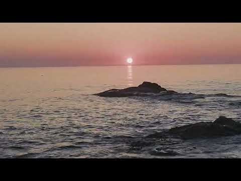 Видео: Лакедра повсюду.  Морская рыбалка с берега в Южной Корее.