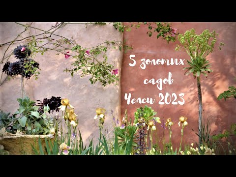 Видео: Пять золотых садов Челси 2023