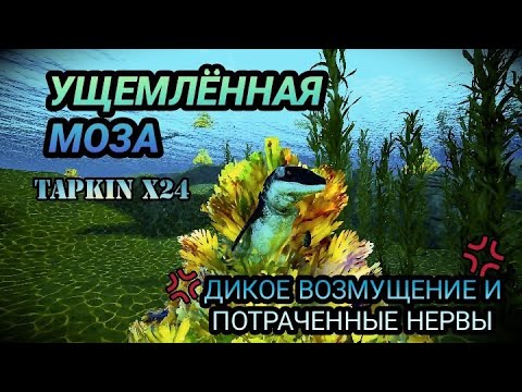 Видео: УЩЕМЛЕННАЯ МОЗА ⮚ BEAST OF BERMUDA ⮘ TAPKIN X24