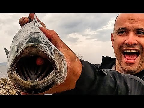 Видео: ТУРУК ОТ СКАЛИТЕ!