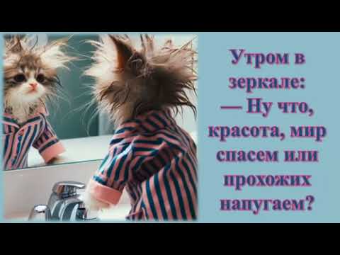 Видео: Всем доброго утра ❤️❤️❤️