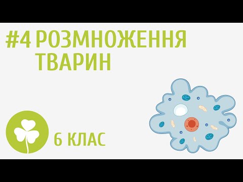 Видео: Розмноження тварин #4