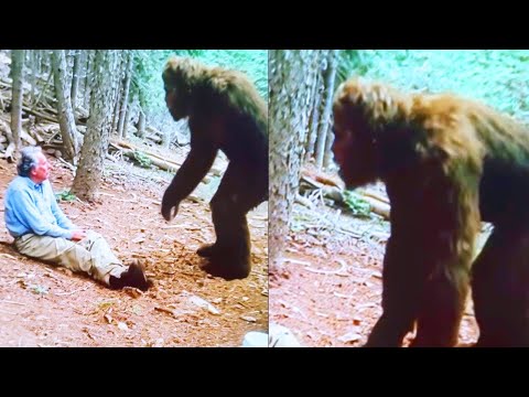 Видео: Снежный человек говорил со мной—ужасающий рассказ пожилого мужчины о его встрече с снежным человеком