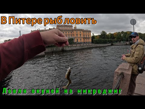 Видео: В Питере рыб ловить. Ловля окуня на микроджиг