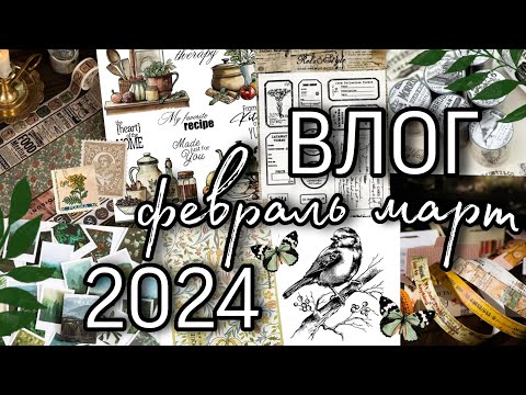 Видео: ВЛОГ // февраль - март 2024