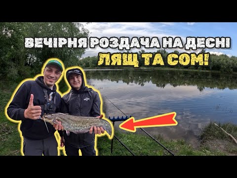 Видео: ХТО ШУКАЄ - ТОЙ ЗНАЙДЕ! ПЕРШІ ТРОФЕЙНІ ЛЯЩІ І СОМ СЕЗОНУ 2025! ДЕ І ЯК ЗАРАЗ ЛОВИТИ ЦЮ РИБУ?