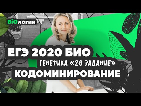 Видео: Генетика | Кодоминирование | БИОЛОГИЯ ЕГЭ 2020 | Напольская Ксения | Эксперт ЕГЭ