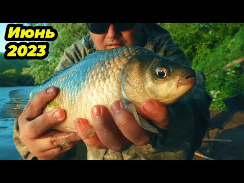 Видео: Выезд на реку Быстрая Сосна 10.06.2023