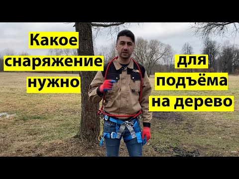 Видео: Что нужно чтоб забраться на дерево.