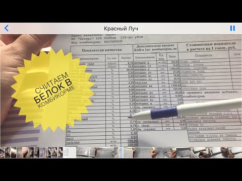 Видео: Комбикорм для свиней. Считаем протеин (белок) в комбикорме для свиней на откорме и свиноматок.