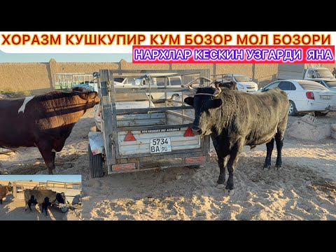 Видео: ХОРАЗМ КУШКУПИР КУМ БОЗОР МОЛ БОЗОРИ НАРХЛАР КЕСКИН УЗГАРДИ ЯНА 8-ноября 2025 г.