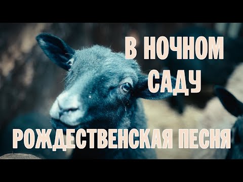 Видео: В НОЧНОМ САДУ (РОЖДЕСТВЕНСКАЯ ПЕСНЯ) | ХОР БРАТИИ ВАЛААМСКОГО МОНАСТЫРЯ