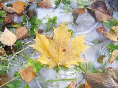 Видео: "Не надо,  ведь это всерьез..."  Елена Решетняк