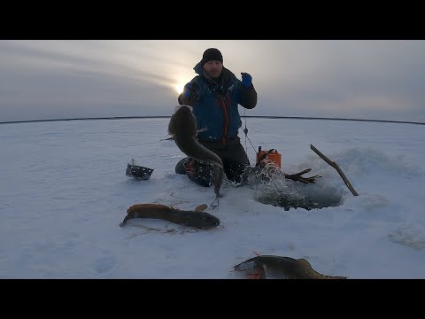 Видео: ПЕРЕМЕТ | ПРОВЕРКА 02.11.2025