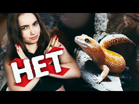 Видео: На чем можно сэкономить при покупке ЭУБЛЕФАРА? Топ 5 ненужных вещей