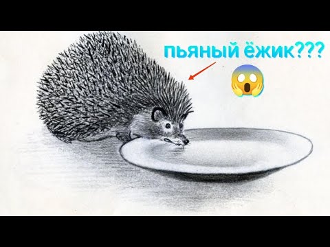 Видео: Что будет если вызвать пьяного ёжика? | эксперимент с мистикой
