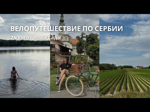 Видео: 24 км по Сербии на велосипеде | Красивая велодорожка от Нови Сада до Бегеча