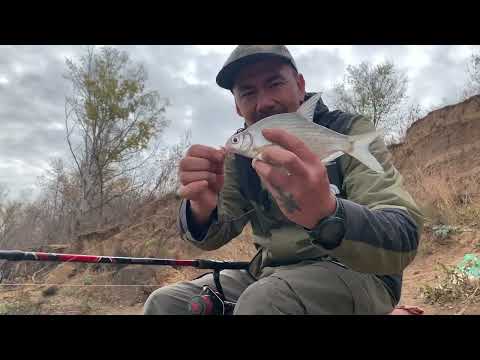 Видео: Рыбалка на Урале,осень 2025#казахстан #уральскзко #рыбалканафидер #рыбалканаурале